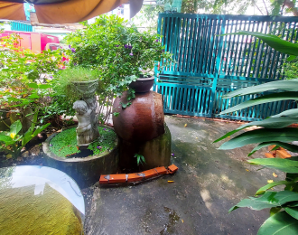 Thiết kế quán cafe kiểu xưa không gian cây cảnh và đồ vật xưa cận đại