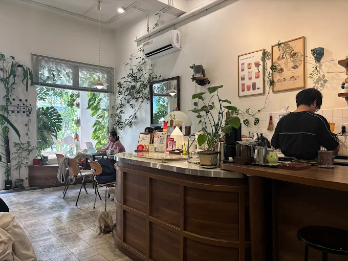 Review quán cafe theo tông trắng chân ái cho mọi người 2