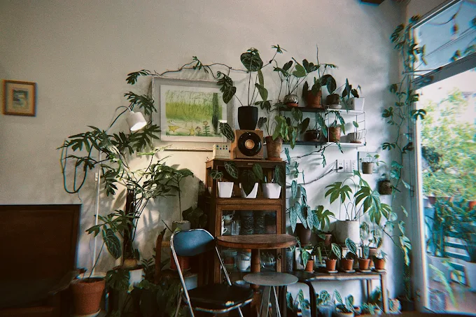 Review quán cafe theo tông trắng chân ái cho mọi người 5